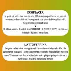 Erbex Lattoferrina 200 Complex Integratore Immunostimolante 30 Capsule