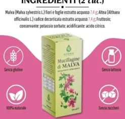 Erbex Malva Mucillagine Integratore Acidità Gastrica 200ml