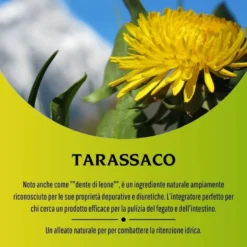 Erbex Tarassaco 430mg 100 Capsule