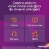 Fexallegra Antistaminico Contro Sintomi Allergia 10 Compresse