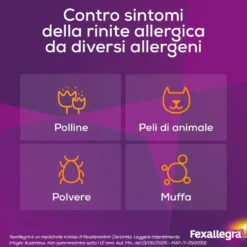 Fexallegra Antistaminico Contro Sintomi Allergia 10 Compresse