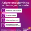 Fexallegra Spray Nasale Per Rinite Allergica Fexallegra Nasale Antistaminico + Decongestionante Per Sintomi Allergia 10ml