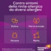 Fexallegra Spray Nasale Per Rinite Allergica Fexallegra Nasale Antistaminico + Decongestionante Per Sintomi Allergia 3 confezioni da 10ml