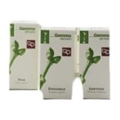 Fitomedical Kiwi Macerato Glicerico Integratore Funzione Tessuti Connettivi 100ml