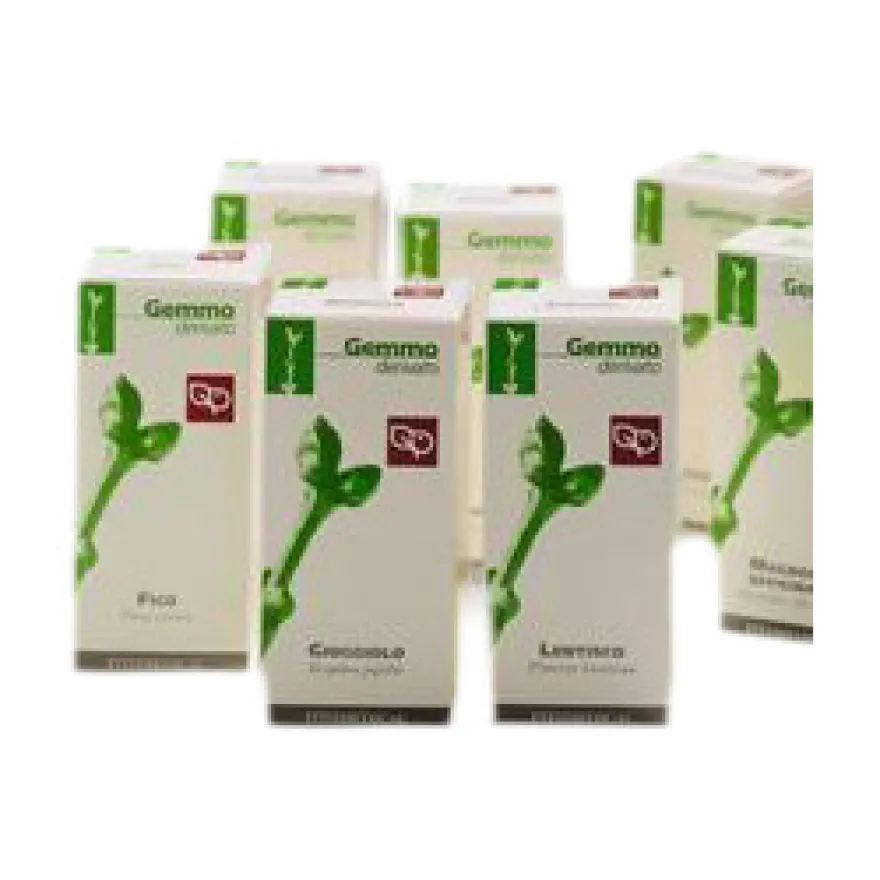 Fitomedical Ribes Nero Macerato Glicerico 200ml