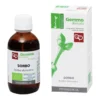 Fitomedical Sorbo Macerato Glicerico Bio 50ml