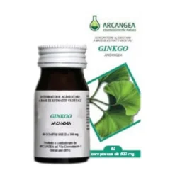 Ginkgo Biloba 500mg Integratore 60 Capsule