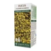 Giorgini Fucus Quercia Marina Estratto Integrale Analcolico Integratore Drenante 200ml