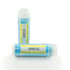 Guna Apisplex Granuli Contenitore Multidose 4g