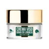 Hollywood Wonder Bee Snail 50ml
