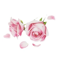 It's Skin The Fresh Mask Sheet Rose Maschera Idratante Illuminante Viso 20g