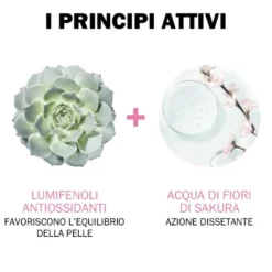 Jowaé Crema Viso Idratante Colorata Chiara 30ml