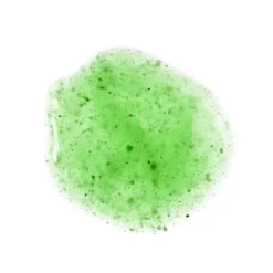 Jurgita Cosmeceuticals Intensive Detox Fresh Scrub 250ml