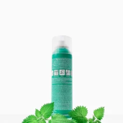 Klorane Shampoo Secco Ortica Per Capelli Scuri 150ml