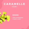 Lemuria Caramelle Erisimo Bio 100g