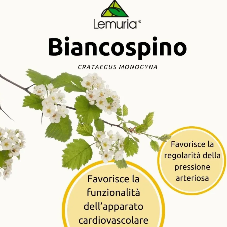 Lemuria Et Biancospino Integratore Alimentare 30ml