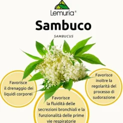 Lemuria Et Sambuco Integratore Alimentare Gocce 30ml