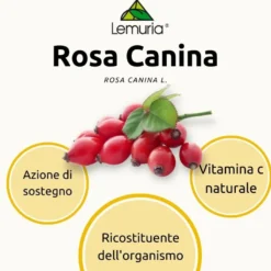 Lemuria Rosa Canina Estratto Titolato Integratore Ricostituente 100ml