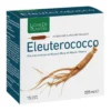 Ligne De Plantes Eleuterococco Integratore Tonico E Funzioni Cognitive 15 Ampolle
