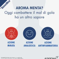 Neoborocillina Gola Dolore Spray Mal Di Gola Menta 15ml