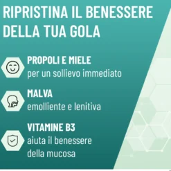 Neoborocillina Propolmiele+ Spray Integratore Benessere Gola 20ml