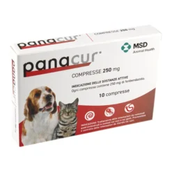 Panacur Antielmintici Cani E Gatti 250mg 10 Compresse