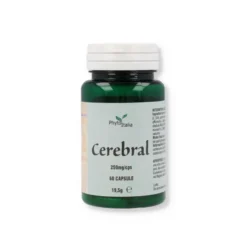 Phytoitalia Cerebral Integratore Funzionalit&agrave; Cognitive E Memoria 60 Capsule
