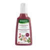 Rausch Shampoo Colorprotettivo Alla Rosa Selvatica 200ml