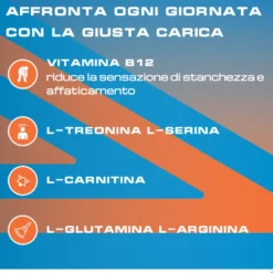 Rekord B12 Plus Integratore Stanchezza Psicofisica 6 confezioni da 10 Flaconcini