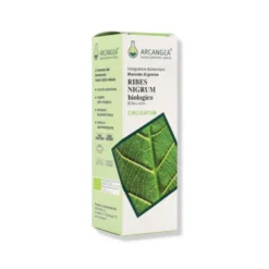 Ribes Nigrum Gemmoderivato 33 Bio Integratore Di Drenante 100ml