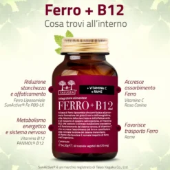 Salugea Ferro + B12 Integratore Ferro E Vitamina B12 60 Capsule