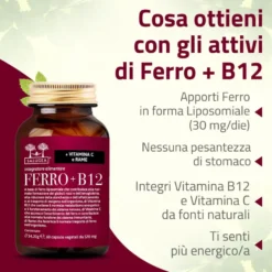 Salugea Ferro + B12 Integratore Ferro E Vitamina B12 60 Capsule