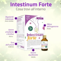 Salugea Intestinum Forte Integratore Per L’intestino 18 Flaconcini