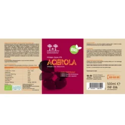 Salugea Succo Di Acerola Biologico 100% Puro 500ml