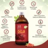 Salugea Succo Di Goji Biologico 100% Puro 500ml