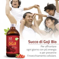 Salugea Succo Di Goji Biologico 100% Puro 500ml