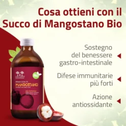 Salugea Succo Di Mangostano Biologico 100% Puro 500ml