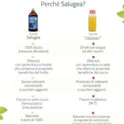 Salugea Succo Di Maqui Biologico 100% Puro 500ml