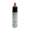 Santiveri Ainsworths Cherry Plum Fiori Di Bach Integratore Equilibrio Emotivo 10ml