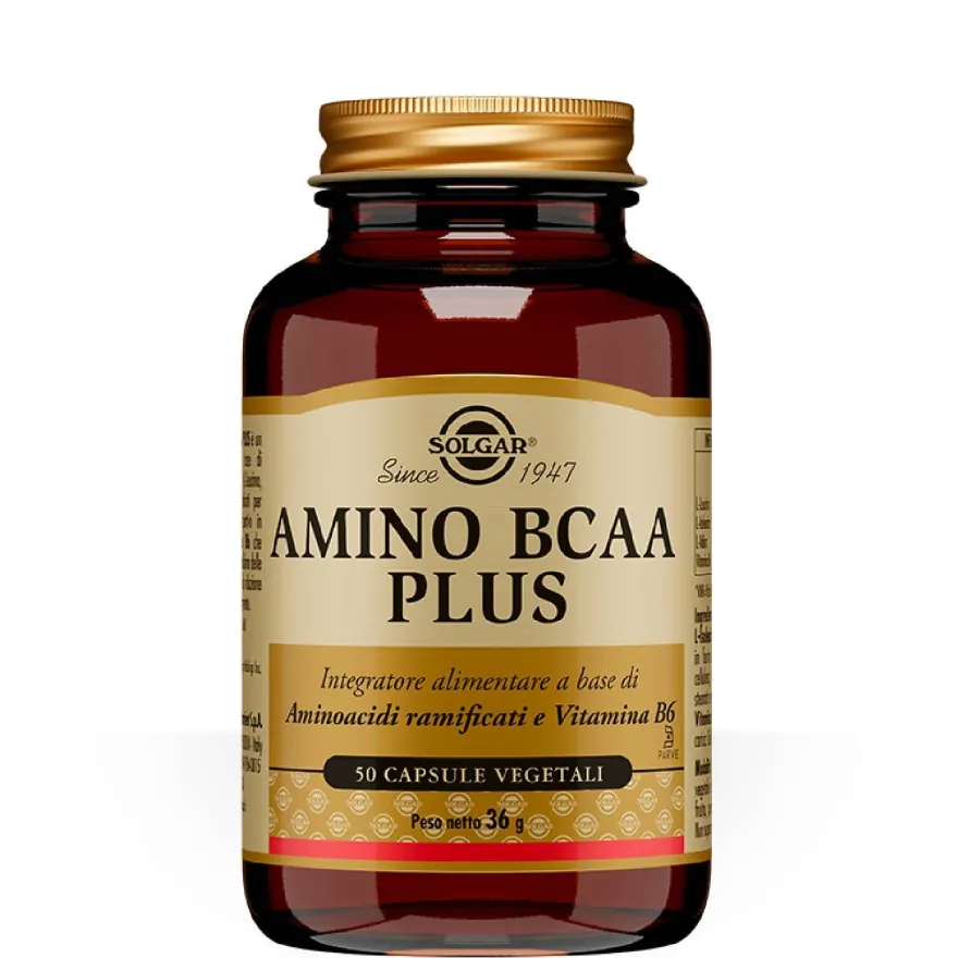 Solgar Amino Bcaa Plus Integratore Di Aminoacidi E Vitamina B6 50 Capsule