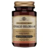 Solgar Ginkgo Biloba 60 Integratore Per Memoria E Microcircolo 60 Capsule Vegetali