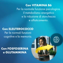 Sustenium Memo Fosforo Integratore Alimentare Con Fosfoserina, Glutammina, Vitamina B6 Ed Eleuterococco 10 Flaconcini
