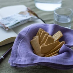Tisanoreica T-smech Snack Proteico Sesamo 30g