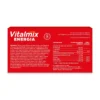 Vitalmix Energia Integratore Tonico Con Ginseng E Pappa Reale 2 confezioni da 14 Flaconcini