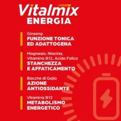 Vitalmix Energia Integratore Tonico Con Ginseng E Pappa Reale 14 Flaconcini
