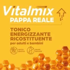Vitalmix Pappa Reale Integratore Vitamina C 10 Flaconcini