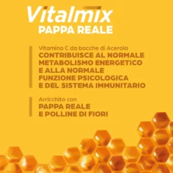 Vitalmix Pappa Reale Integratore Vitamina C 10 Flaconcini