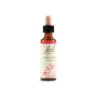 Willow Essenze Fiori Di Bach Rimedio Fitoterapico Gocce 20ml