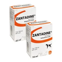 Zantadine Soluzione Orale Flacone 3g 48ml
